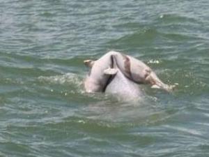 ���౳���ӻؼ����������飺������ֻ������á�����Ƶ��