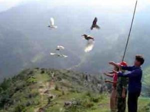 ����ɽ������ɱ¾��֮������ŭ ���������������ֻ�������͵�