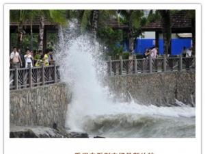 ̨�硰ɽ�������Ǻ��������οͿ��� �ղ���ͣ�й�����