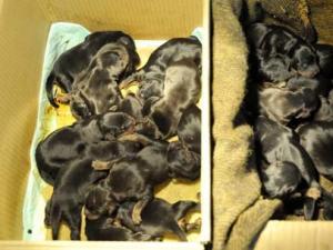 ����һ����һ�β���20�� �ǳ�����