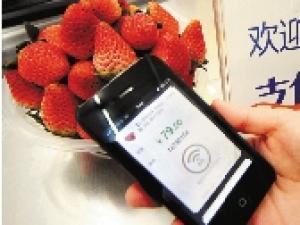 ֧����ͦ��ˮ��̯ ��ͷ���š��� �� �ݡ�