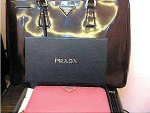 ��ί��Ů�ɲ�΢��ɹ�������ί���� ��ͼ��