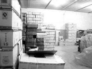 Ѽ������ţ����� ��������Ӽ�ǿ�°�