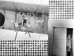 ������ѧ����������Ǯ��Ը �����а�Ԫ��