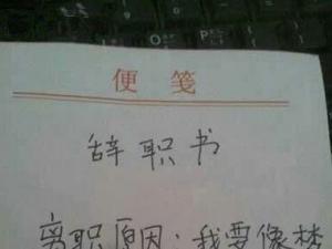 ��ְ�͸��������������մ�ְ�������飺�������� �ؼ�����