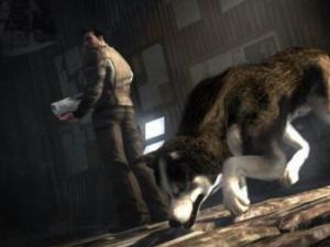 �����⹷ҧ �����᲻�ô���������Ϊ��������Ѫ����