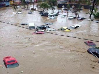 ̨�������Ű���㽭��Ҧ��7�ɱ��� �οͿ�Ǯ�������� �Ϻ������µ����ڻ�ˮ