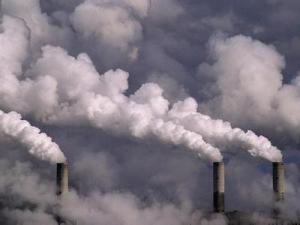 �й�������50��Ԫ���ξ��򼽵���������Ⱦ