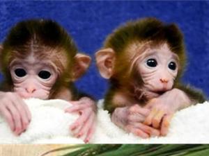 ת�����������⨺�ι��ʵ�� ר��ָ��ũҵ����������Ϊ��