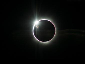 ������ۡ�ȫ��ʳ������������14������7�Σ�ͼ��