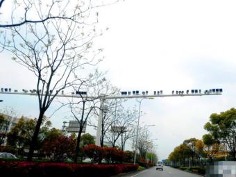 �Ϻ�һ��·װ50��ֻ̽ͷ