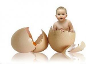 ��������̥����Ӱ��1/4δ������ż