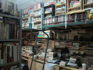 ����ѧ�����Ҳ��齨���˹���ͼ��ݣ�ͼ��