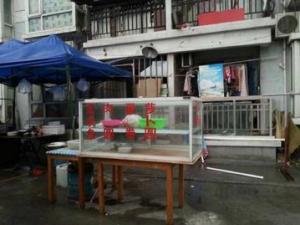 �Ϻ��ɽ�4���±����ڼ���˯������ʧ��