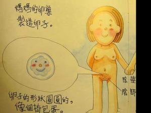 �׶�԰�����Խ������к��羫����ǰ�壨ͼ��