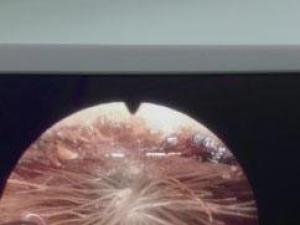 1��Ůͯ����Ʈ������ 4���º���г��ѹ�Ӣ��ͼ��