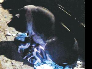 ĸ��˼��С���Ͻ�"Ѱ��"����ͼ��