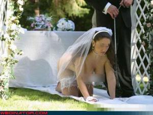 �й�����Ȣ�޳ɱ����а��¯ ���гɱ��嵥�人65���ǰʮ