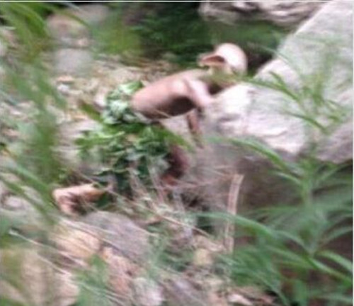 �������ᾪ�ֹ��� ʵΪ���й��氢�����ͼ��