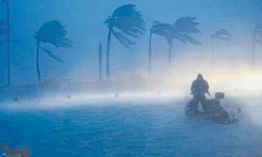 ������ѷ��ŭɨ��ʡ490������ʧ77��