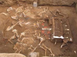 ������У��Ĺ�ڶ��ڳ���ʼ����ĸĹ ������Ʒ�������˾�̾ 