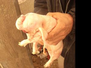 ţ������������ ���֡�Ұ�����������¡��󱦱�������