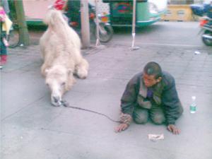 ������֫���������ֹ���������ϧ ����ŭ��Ӧ�÷����ֶ��Ʋ�