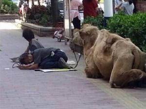 ������֫���������ֹ����������� �б���Ϊ����ŭ