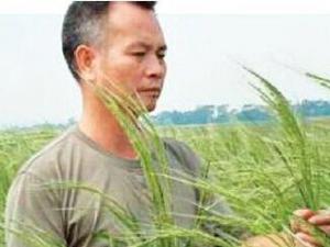 �㶫�������溣ˮ�� �����о���ֵ��ؿ�չ�������