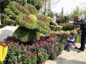 ���Ͼջ�������