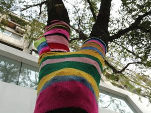 �����������ϡ��ʺ���㡱�������� ���ѣ�����Ҳ������