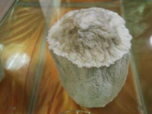 ǧ��̫����Χ�� ͨ�������Դ��޸�����