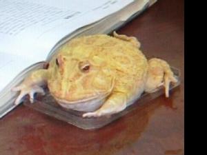 �Ĵ����Ӽ�����������Ϲ������ ���ѣ�����Ҫ���ƵĽ��࣡