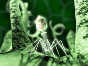 ��Ȼ����m1������°�֢���� ̸��ɫ������ʷ