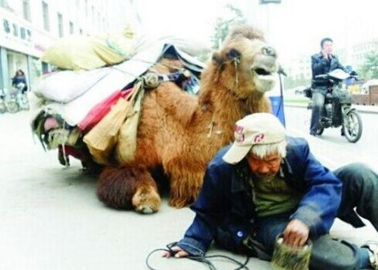 ������֫���������ֹ��� ���ѣ�����������