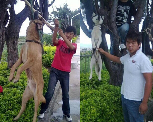 ���ӽ���������Űɱ��Ǵ�𡰱�̬��������Ű���ʱ��ֹͣ��