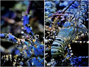 �㽭���񲶵���1�׳���Ϻ��60��Ԫ������ ���Ѿ�̾��������