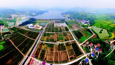 ȫ����ǿ���к�����������