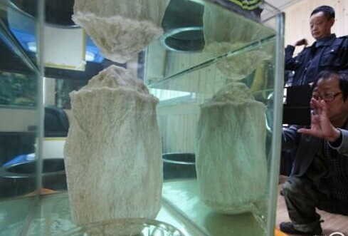 ��ǧ��̫�ꡱ������Χ�� �����ͨ������������