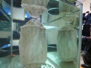 ǧ��̫�꺬50%������ ������������Χ��​