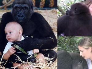 Ӣ��Ů��������������11�� 12�������۽�����鿰������