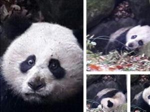 3�����è���ܻƺ���Χ��������¶ ���˹���ȫ��¼​