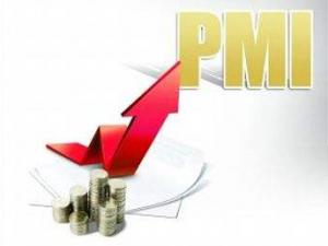 ͳƾ֣ҵPMI 11»0.2%51.8%