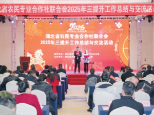 �����й��ִ�ũҵ������������ʱ &nbsp; ����Ϊũҵǿ���ṩ������������