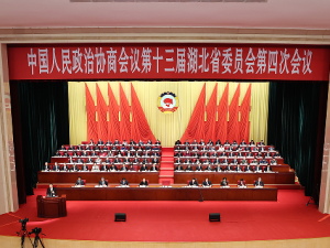 ����ʡ��Эʮ�����Ĵλ��鿪Ļ