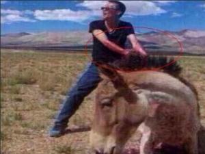 ��Ű¿�С�����Ұ¿����Ӱ����ŭ ���ݱ�������