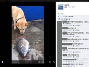 �����ñ�����ˮ����ж����� ���ѣ������˺�ɵ��ִ��