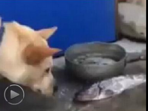 �����ñ�����ˮ������Ӳ����Բ�ͣ �����ƾ���������˼