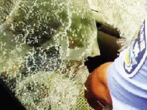 �����Զ�������ͯ��������