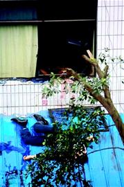 ��ͽ�������ɱ�˺�ٳ��и�(ͼ)